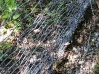 Pied de clôture sanglier renforcé par un rabat broché au sol sur le secteur de la Férande (Andilly)